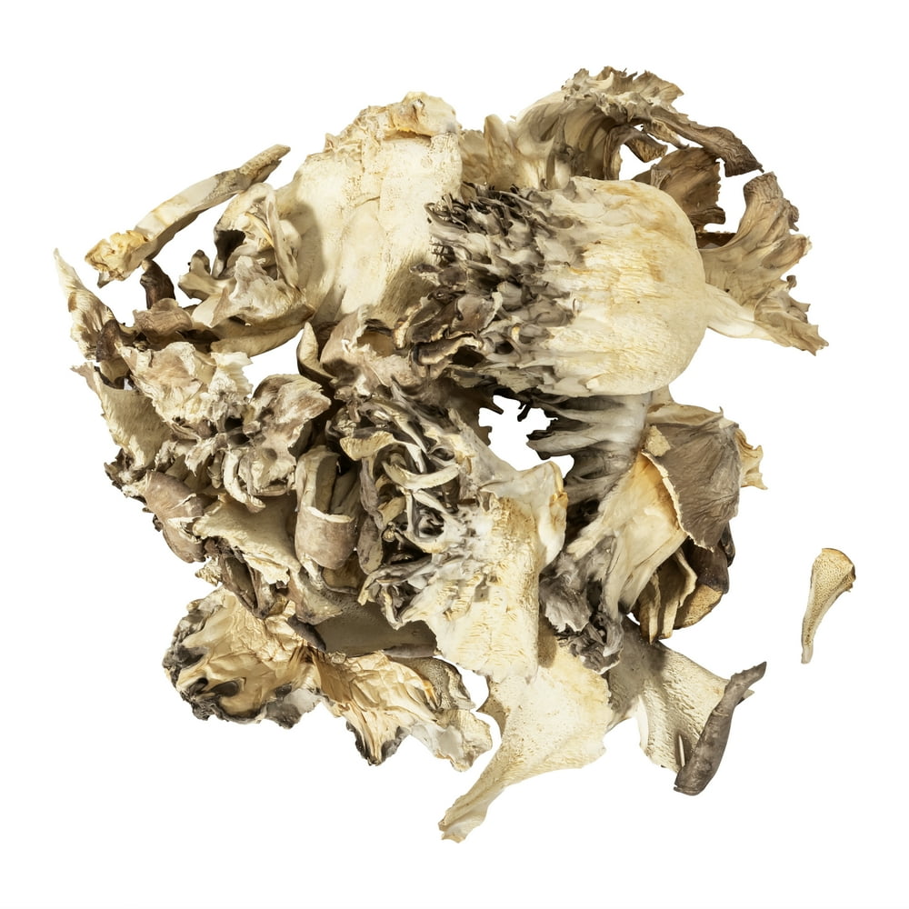 Organic Maitake Mushrooms