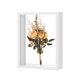 thumbnail image 1 of Marco para Flores Secas Uxcell, Marco de Sombra de Madera de 6 x 8 Pulgadas, Marco de Imagen de Acrílico Doble [Blanco], 1 of 1