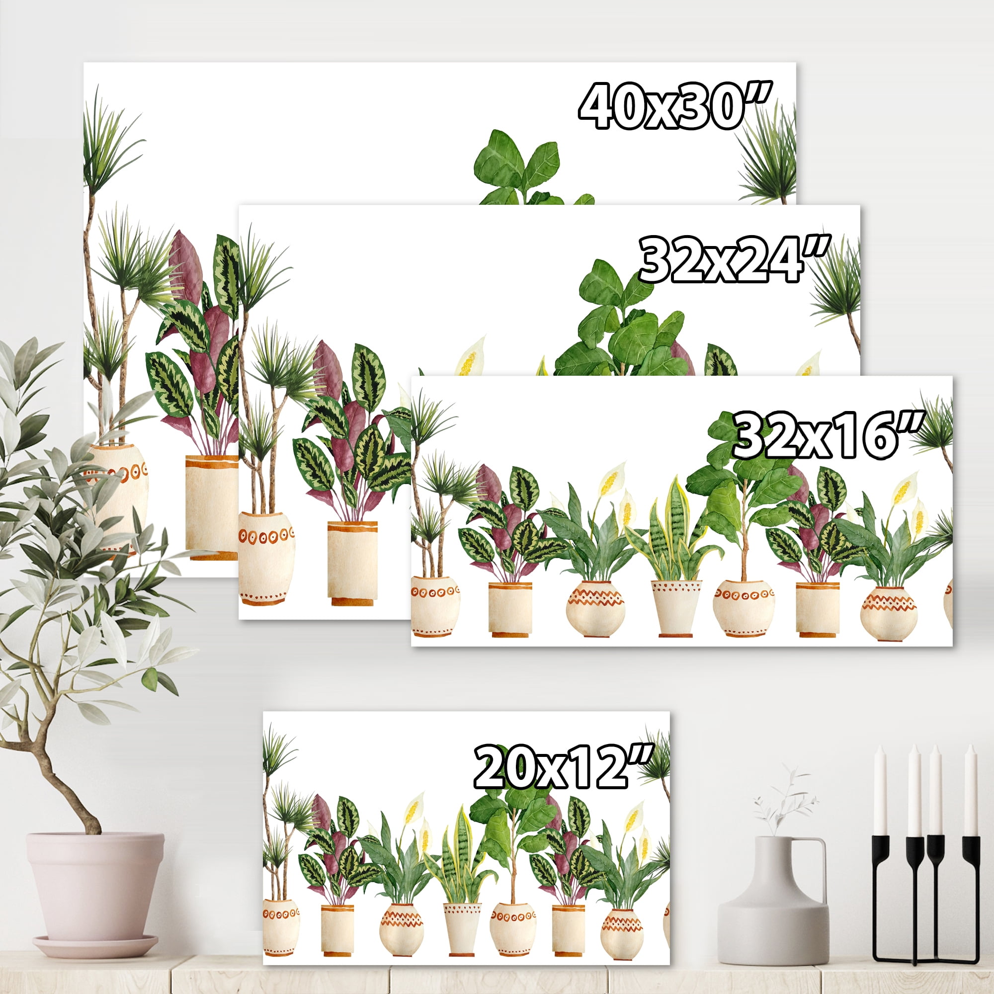 Designart ' Trio of Houseplants Sanseviera Snake Plants On White ' Farmhouse Canvas Wall Art Print