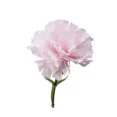 thumbnail image 4 of 11 Inch Bouquets 10 Stem Carnations,Outdoor UV Resistant No Fade Artificial Flower,Mini Carnation Silk Petals Fake Flowers Forever Plants for Photo Props Home Party and Wedding Decor, 4 of 7