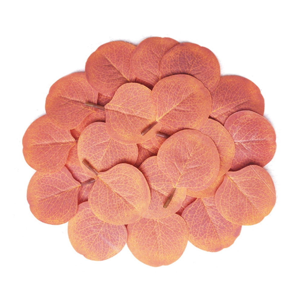 50 Pcs Real Dry Natural Fresh Preserved Eucalyptus Leaf Dried Leaves