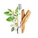 thumbnail image 1 of Perfume de viaje en espray By Rosie Jane (Lake) - Perfume limpio para mujer - Bruma corporal no tóxica con notas de vainilla, limón de lago y cedro suave - Sin parabenos, sulfatos ni ftalatos (10 ml), 1 of 1