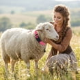 thumbnail image 4 of Collier Réglable en Nylon pour Bétail avec pour Chèvre Mouton Bétail Cheval Entraînement Perdu, 4 of 5