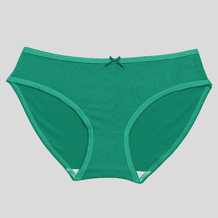 Fulorrnie Underwear for Women No Show High Waist Seamless Panties Band Briefs Elastic Comfort Panty  Green  XS