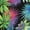 427, variant on Monochrome Hawaiian Floral Short Sleeve Men'S Rompers, Tropical Hawaiian Aloha Floral Casual Summer Jumpsuits Outfit