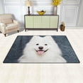 thumbnail image 3 of Coolnut Lightweight Carpet Mats, 31 x 20 inches Area Soft Rugs Floor Mat Doormat Decoration for Rooms Entrance Samoyed Dog Sitting, 3 of 6