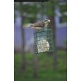 C&S Products Hanging EZ Fill Suet Cake Wild Bird Feeder- Green - image 7 of 8