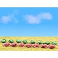 thumbnail image 4 of JTT Scenery Products - HO Cabbage & Lettuce, .25" wide (20), 4 of 4