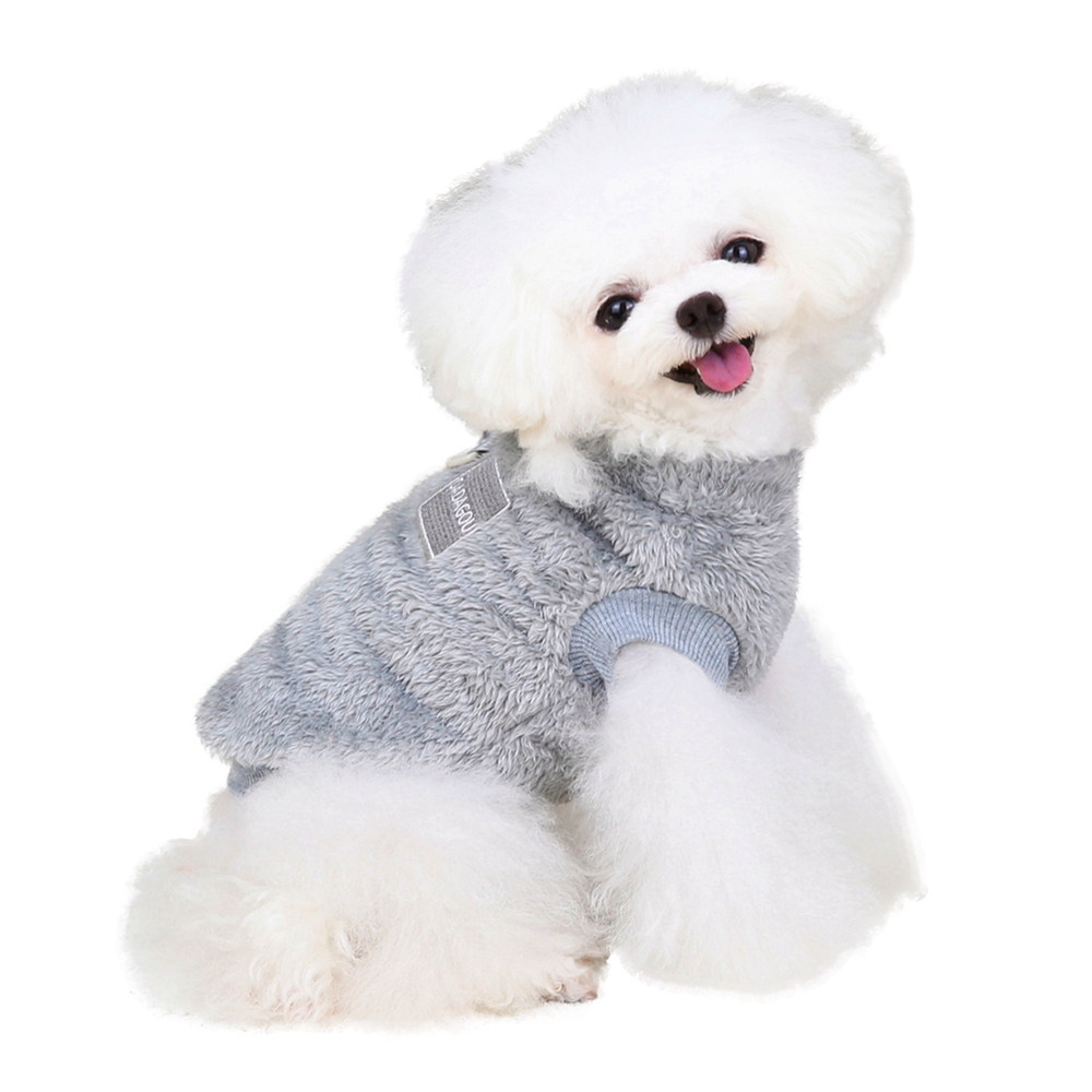 Can Dogs Sleep With Sweaters On