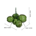 thumbnail image 2 of unbranded Cocos Falsos Decorativos Con Apariencia Para Eventos Luau Y Bodas En, 2 of 6