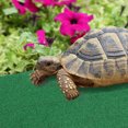 thumbnail image 4 of OUNONA 1Set Green Rectangular Plastic Fake Grass Mat for Aquarium and Reptile Tank 39.4x19.7x0.08in, 4 of 6