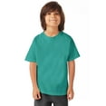 thumbnail image 1 of Hanes T-Shirt à Manches Courtes Col Ras du Cou ComfortWash pour Garçons, TP, Spanish Moss, 1 of 3