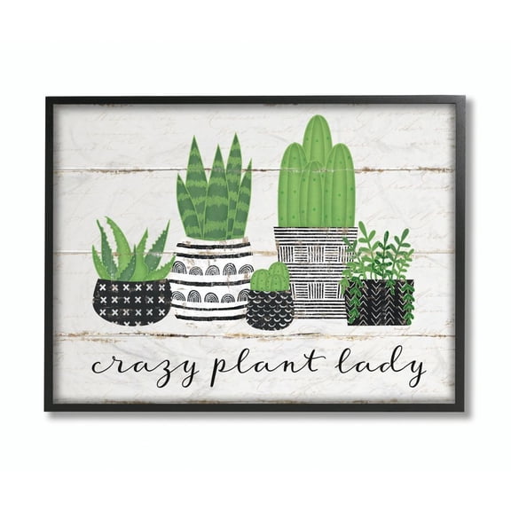 Stupell Home Décor Industries Crazy Plant Lady Cacti Succulents Wood Textured Design Framed Wall Art by Jennifer Pugh