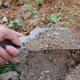 thumbnail image 4 of Tium Ultra- Cam Shovel Outdoor Portable -funct Digging Tool, 4 of 4