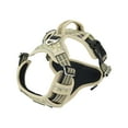 thumbnail image 1 of TIMIFIS Harnais pour Chien Laisse pour Animal de Compagnie Chien Chat Trousse Chien Réfléchissant Sangle de Poitrine Chiot Harnais de Marche Extérieur Taille Moyenne Chien - Automne, 1 of 1