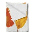 thumbnail image 2 of Fall Soft Flannel Fleece Blanket, Realistic Illustration of Dried Seasonal Foliage with Raindrops on a Vein Background, Cozy Plush for Indoor and Outdoor Use, 70" x 90", Multicolor, by Ambesonne, 2 of 5