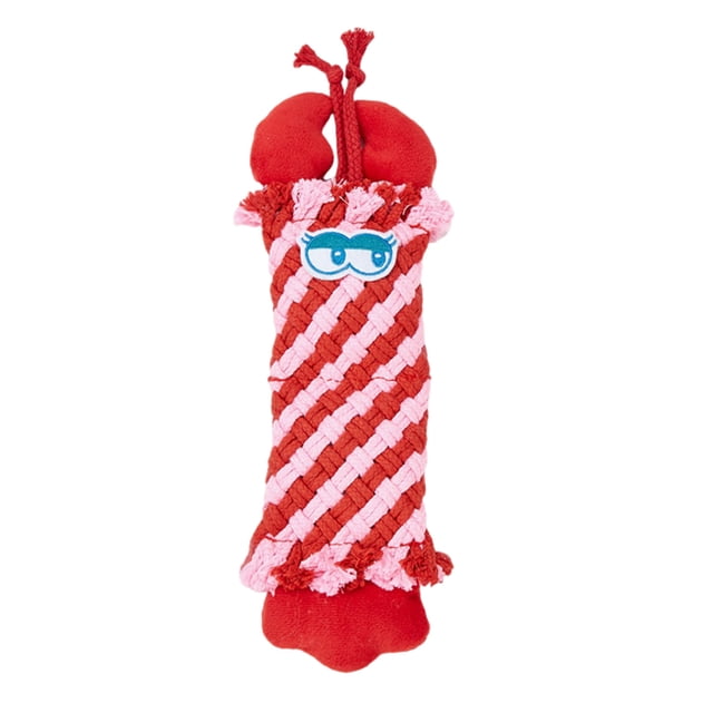 Woven Rope Dog Toy Squeaky Puppy Teething Toy Dog Interactive Tug-of-War Rope Toy for Dogs Teeth Cleaning Entertainment