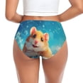 thumbnail image 3 of Womens Underwear -  Cloud Cute Hamster No Show Seamless Underwear for Women, Soft Stretch Sexy Women's Panties, Cute Hipster Ladies Panties Bikini Underwear Briefs, 3 of 6