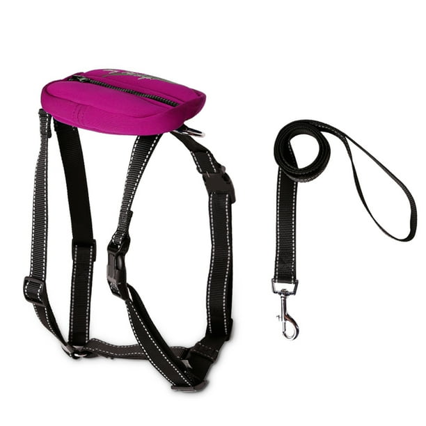 Matching collar leash and harness deals