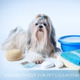 thumbnail image 5 of Peine para quitar piojos de la cabeza, 6 piezas, con lupa, para perros, gatos, mascotas, 5 of 5