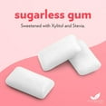 thumbnail image 3 of Evergreen Sweets Chewing gum -100 Pieces Jar - Natural Cinnamon Gum Made with Xylitol and Stevia - Sugar-Free, Aspartame Free and Vegan, 3 of 5