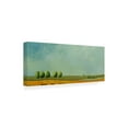thumbnail image 2 of Trademark Fine Art 'Green Tuscan Paint Landscape 2' Canvas Art by Pablo Esteban, 2 of 3
