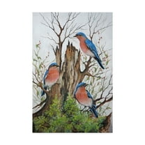 Trademark Fine Art 'A Bluebird Morning' Canvas Art by Carol J Rupp