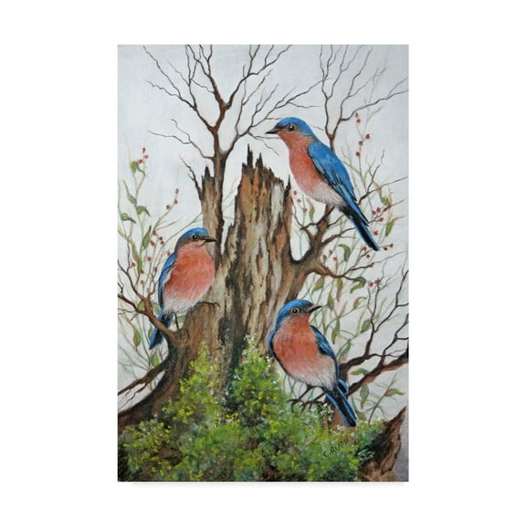Trademark Fine Art 'A Bluebird Morning' Canvas Art by Carol J Rupp