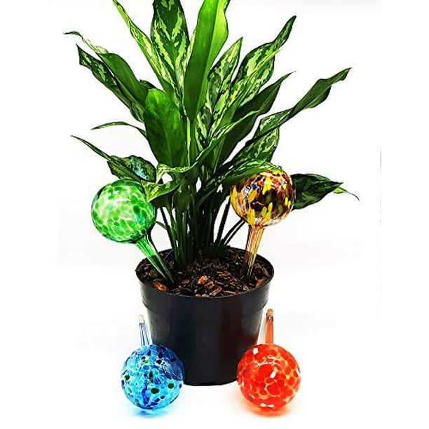 AquaPopz, Large Plant Watering Globes, Self Water Bulbs, Device for