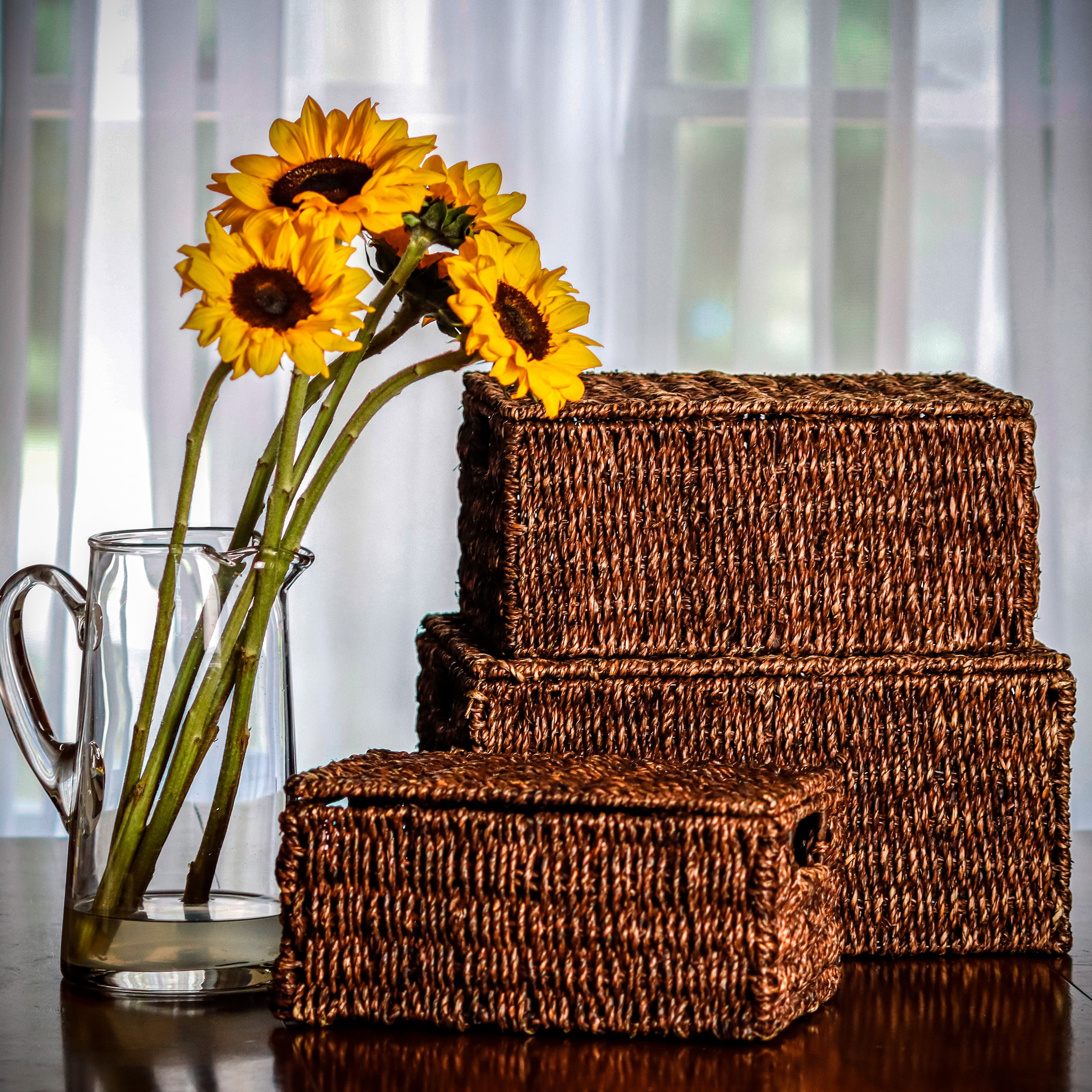 Rectangular Seagrass Baskets with Lids (Set of 3, Brown)