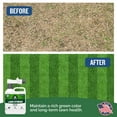 thumbnail image 6 of Turf Titan Lawn Striper with Iron Nitrogen Liquid Fertilizer, 32 oz Hose End Sprayer, 6 of 9