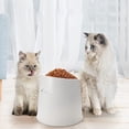 thumbnail image 5 of Plato elevado para comida para gatos, estación de alimentación inclinada para mascotas con soporte para perros pequeños, 5 of 5