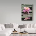 thumbnail image 3 of Trademark Fine Art 'Pink Water Lily Centered' Canvas Art by Brenda Petrella Photography Llc, 3 of 3