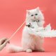 thumbnail image 3 of Gatito divertido Tease juguete lindo reemplazo teaser gato encantos exquisitos suministros para mascotas Hugtrwg Para estrenar, 3 of 9