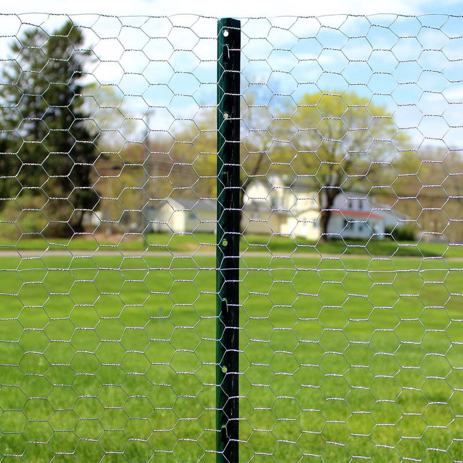 Garden Zone 12.90" x 12.90" Galvanized Steel Poultry Netting