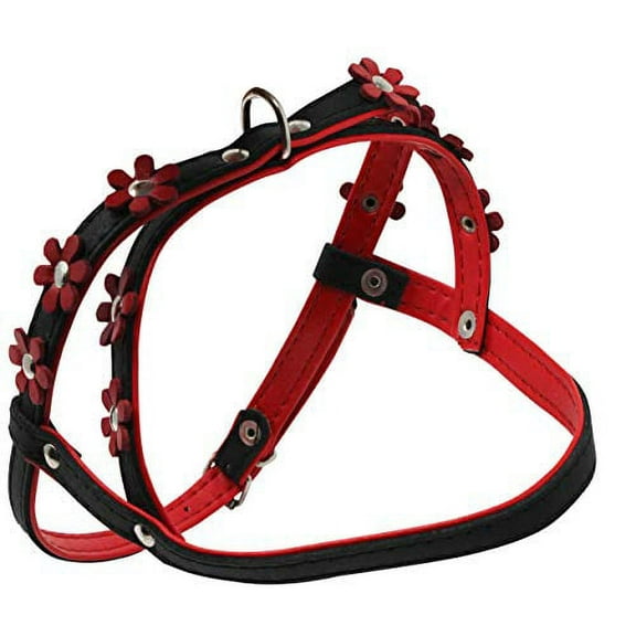 Genuine Leather Dog Harness Daisies for Toy and Small Breeds Padded (Black/Red, X-small: 11.5"-13.5" Chest)