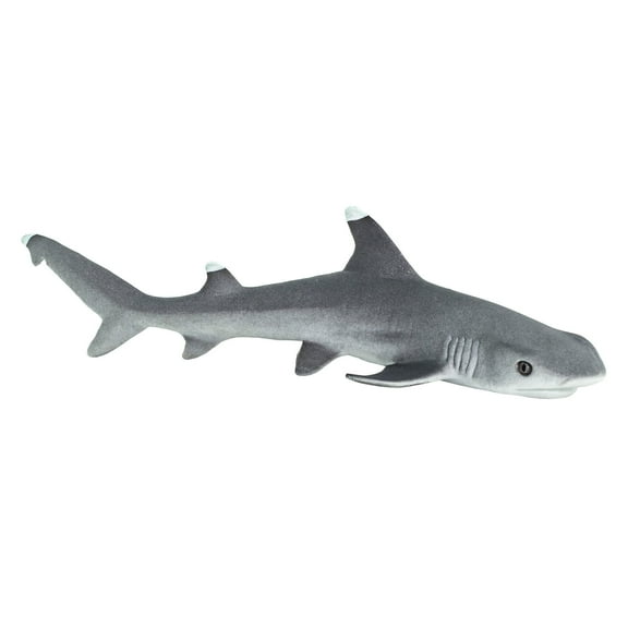 Safari Ltd. Whitetip Reef Shark Figurine - Lifelike 4.75" Model Figure - Educational Toy for Boys, Girls, and Kids Ages 3 