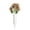 Champagne, variant on 1 Set Champagne Rust Red Artificial Cemetery Flowers with Vase, 11" Faux Rose Bouquet with Ground Stake, UV Resistant All Weather Memorial Decor for Grave Outside