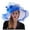 Blue, variant on UJNDER Elegant Women's Fascinator Bridal Tea Party Wedding Hat for Fashionable Events and Weddings Light Blue