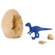 thumbnail image 3 of Kit de dinosaurios excabacion huevos, 3 of 4