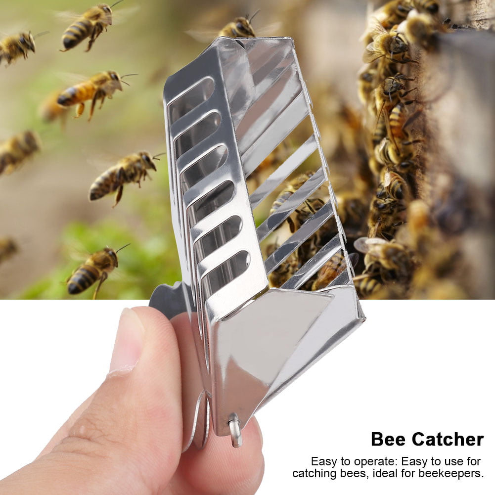 Safety Beekeeping Beekeeper Clip Queen Bee Catcher Cage Catch Tool Garden Yard 