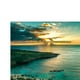 thumbnail image 4 of Fondo de Acuario Fondo de Pecera de Puesta de terre - tal se describe, 122x61cm, 4 of 9