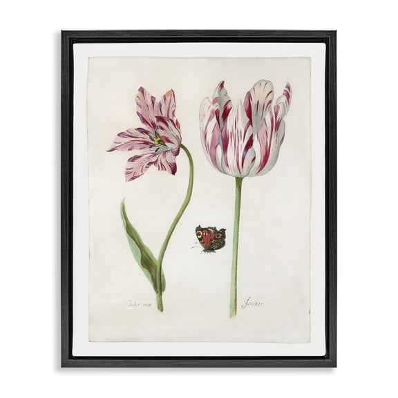 Stupell Industries Cottage Black Floating Frame Canvas Art, 17 x 21, by Jacob Marrel