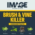 thumbnail image 5 of Image Brush & Vine Vegetation Killer Herbicide, 32 oz Concentrate, 5 of 17