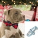 thumbnail image 5 of Collar lindo para perros, collar clásico para mascotas con lazo para mascotas, 5 of 5