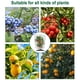 thumbnail image 5 of Toystoory 4 piezas de red de protección de plantas recortable, Protector de insectos para plantar, malla vegetal para invernadero de Patio trasero Jardín y Patio 1x1.5m Toystoory HA067165-02, 5 of 6