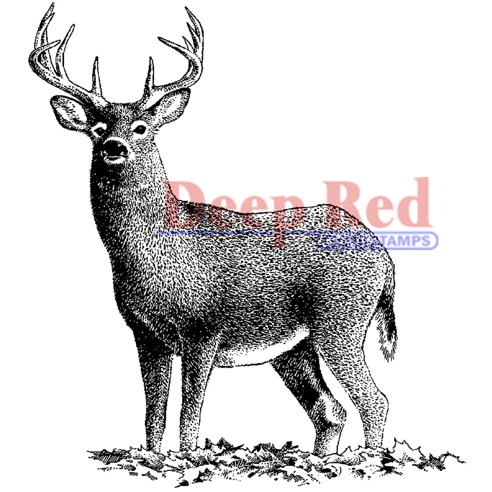Deep Red Stamps 4x505167 Buck Deer Rubber Stamp Walmart Canada