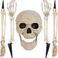 thumbnail image 1 of Esqueleto Posable JanHm Modelo De Esqueleto De Plástico Articulaciones Móviles De Personajes Decoración De Accesorios De Casa Encantada De Halloween, 1 of 4