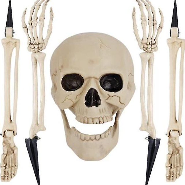 Esqueleto Posable JanHm Modelo De Esqueleto De Plástico Articulaciones Móviles De Personajes Decoración De Accesorios De Casa Encantada De Halloween