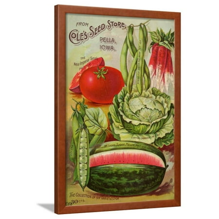 Flower Catalog - Seed Catalog Captions (2012): Cole’s Seed Store, Pella, Iowa, Garden, Farm and Flower Seeds, 1896 Framed Print Wall Art